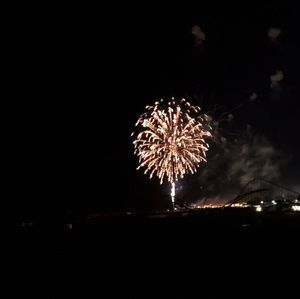 Meet your Posher, Aurea